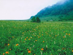 門(mén)頭溝百花山乘車(chē)線(xiàn)路,百花山自駕車(chē)線(xiàn)路圖圖片